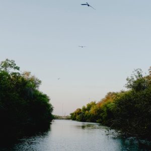 River authority’s budget woes are another blow to water-needy Corpus Christi