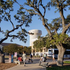 Texas college watchdog received nearly 70 complaints, opened one investigation, records show