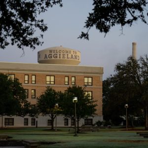 Texas universities deploy AI tools to review and rewrite how some courses discuss race and gender
