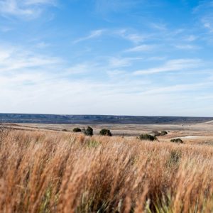 Texas Panhandle shaken by strongest earthquake to hit the region