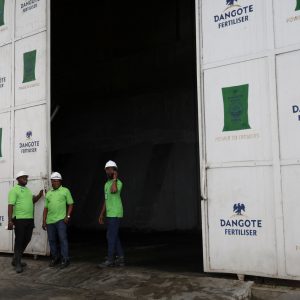 African governments need to take urgent action on fertiliser shortages