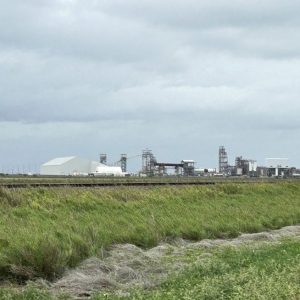 Texarkana region embraces lithium mining potential