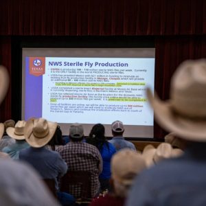 Where is screwworm in Texas? Track cases here.