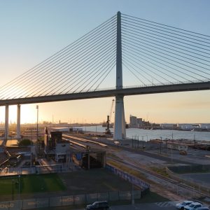 Dead gardens, dusty cars: Frustrated Corpus Christi residents take precautions as water crisis nears