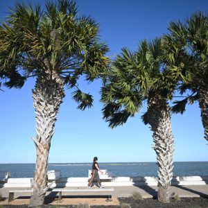 Corpus Christi City Council rejects $60,000 community gift to benefit water desalination plant