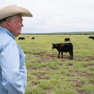 No fat to trim: Texas beef industry profits eaten away by new threat — the screwworm