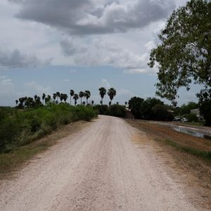 Federal judge extends pause on border wall construction at South Texas wildlife refuge