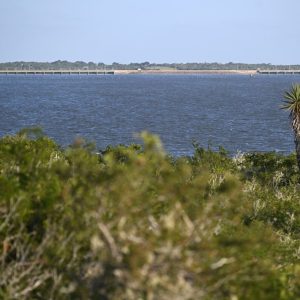 How Corpus Christi’s water emergency exposed flaws in Texas’ water planning