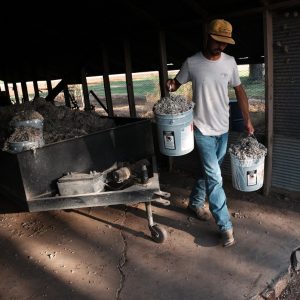 After years of hardship, Texas agriculture faces a new threat: data centers