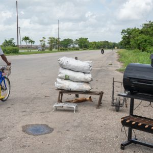 Cuba: Between charcoal and solar panels