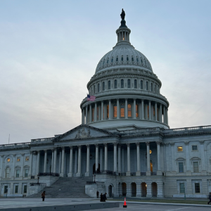The Hitchhiker’s Guide to what the Senate did and didn’t do overnight