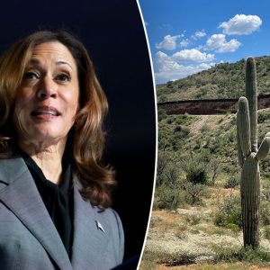‘Political stunt’: Critics dismiss Harris’ expected Arizona border visit as immigration remains top issue