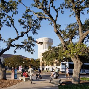 Gov. Greg Abbott wants Texas universities, schools to disclose information on H-1B visa hirings