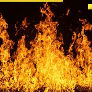 Delhi: 3 dead, 6 injured after massive fire breaks out at food processing unit in Narela