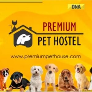 Premium Pet House Sells 300 Golden Retriever Puppies In August; Addresses The Breed’s Increasing Demand In India