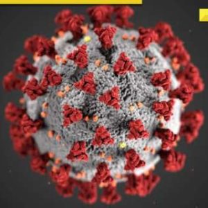 Amid Mpox outbreak, new XEC COVID variant on the rise, know its symptoms, impact