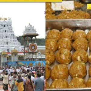 ‘Samples highly adulterated, we will…’: Tirupati Temple Trust issues first statement on laddoo row