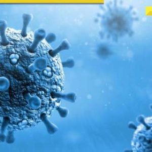 CONGO fever Dos and Don’ts: Jaipur woman dies after getting infected by deadly virus, check guidelines to follow