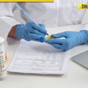 How To Use Synthetic Urine For A Drug Test: Pass Any Urine Analysis Easily