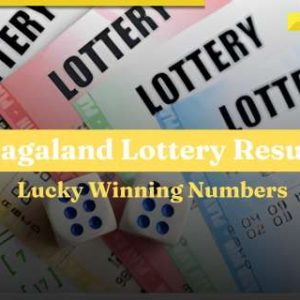 Nagaland Lottery Sambad 1 PM Result December 6 Friday lucky draw declared, check full list here
