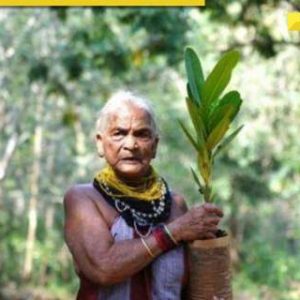 Who was Tulsi Gowda? Padma Shri awardee environmentalist, ‘Encyclopedia of Forest’, who died at 86