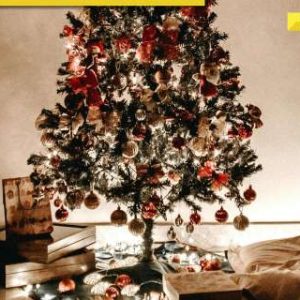 Merry Christmas 2024: Know significance, history, tradition, why it is celebrated on December 25