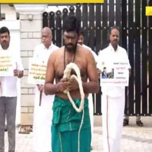 Watch: Tamil Nadu BJP chief Annamalai whips himself as he protests over sexual assault at Anna University