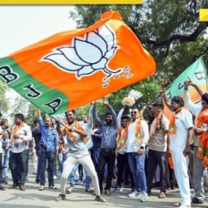 Delhi Assembly elections 2025: BJP releases star campaigner list, it includes…