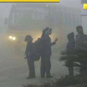 ‘No more shivering’: Why Delhi, North India experiencing warmer days