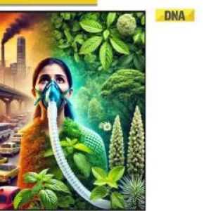 Breathing Hope: Battling asthma and COPD in India’s quest for healthier tomorrow