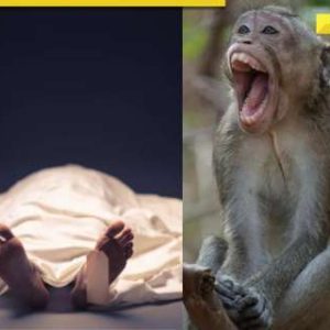 SHOCKING: Class 10 student dies after being pushed by monkey from rooftop