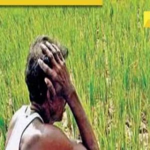 PM Kisan 19th Installment expected soon, know how to check beneficiary status