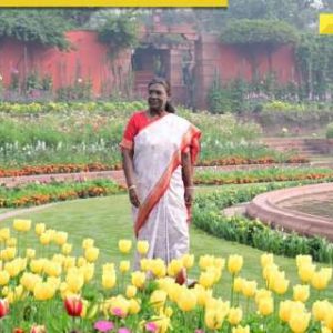 Amrit Udyan to open for public from February 2: Check timing, slots to visit, entry fee and more