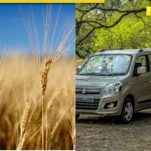 Car gets stuck in wheat field in the dead of night, know what Google Maps error caused later