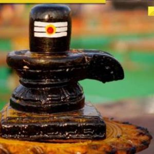 Shivling allegedly stolen from Dwarka temple on Shivratri eve, scuba-divers join search operation