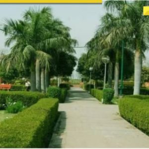 You can no longer take a walk for free in THIS Delhi park; DDA to charge Rs…