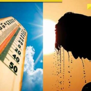 Heatwave scorches THIS Indian state, seven districts record over 40 degrees C temperatures