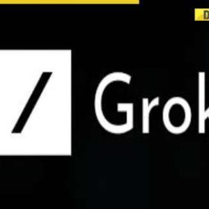Who is responsible for abuses, slang, expletives used by Elon Musk’s X AI chatbot Grok?