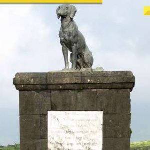 What is controversy over statue of DOG near memorial of Shivaji Maharaj at Raigad Fort?