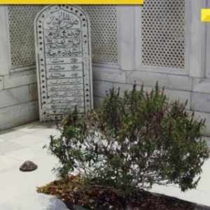Man claiming to be Mughal descendant seeks UN intervention to protect Aurangzeb’s tomb amid rising tension