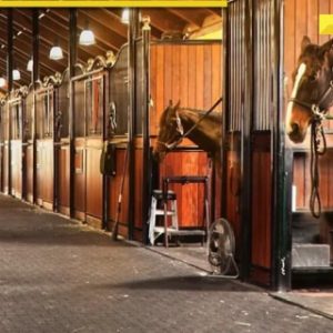 Man trespasses into horse riding academy at night, commits shocking act, CCTV footage leads to his arrest