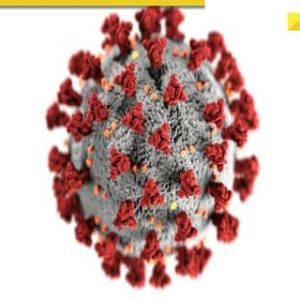 DNA TV Show: Covid-19 pandemic to hit again? India reports 312 cases of coronavirus amid resurgence