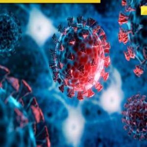 Delhi-NCR Covid-19 Update: Woman with pulmonary TB succumbs to Covid infection, casualties rise to…