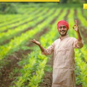PM-Kisan scheme 20th installment to be released soon: Complete these 4 must-do tasks now to get Rs 2000, here’s how to register