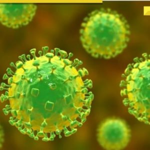 Kerala on alert as Nipah virus cases resurface: What is it and what are its symptoms?