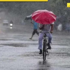 Delhi-NCR wakes up to heavy rainfall, IMD predicts more showers till…