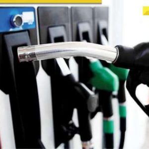 Ethanol blend in petrol damaging old vehicles? Govt says, ‘These concerns are…’
