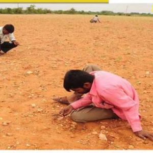 Diamond Hunting Begins in This Andhra Pradesh Region After Heavy Rains