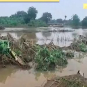 Jalgaon cloudburst: 1 dead, 10 villages affected in Maharashtra; rescue operations underway