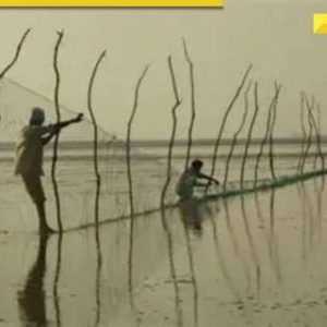 What is Sir Creek? Rajnath Singh’s BIG warning, disputed region between India and Pakistan